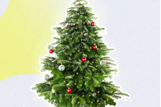 Startnext Mutige gestalten die Zukunft